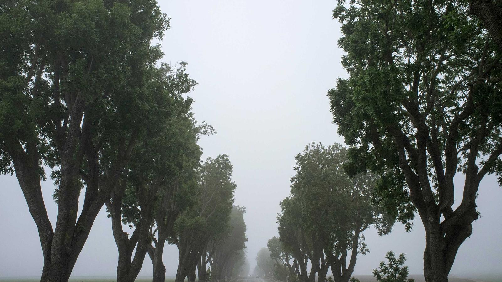 Catégorie Télévision & Image