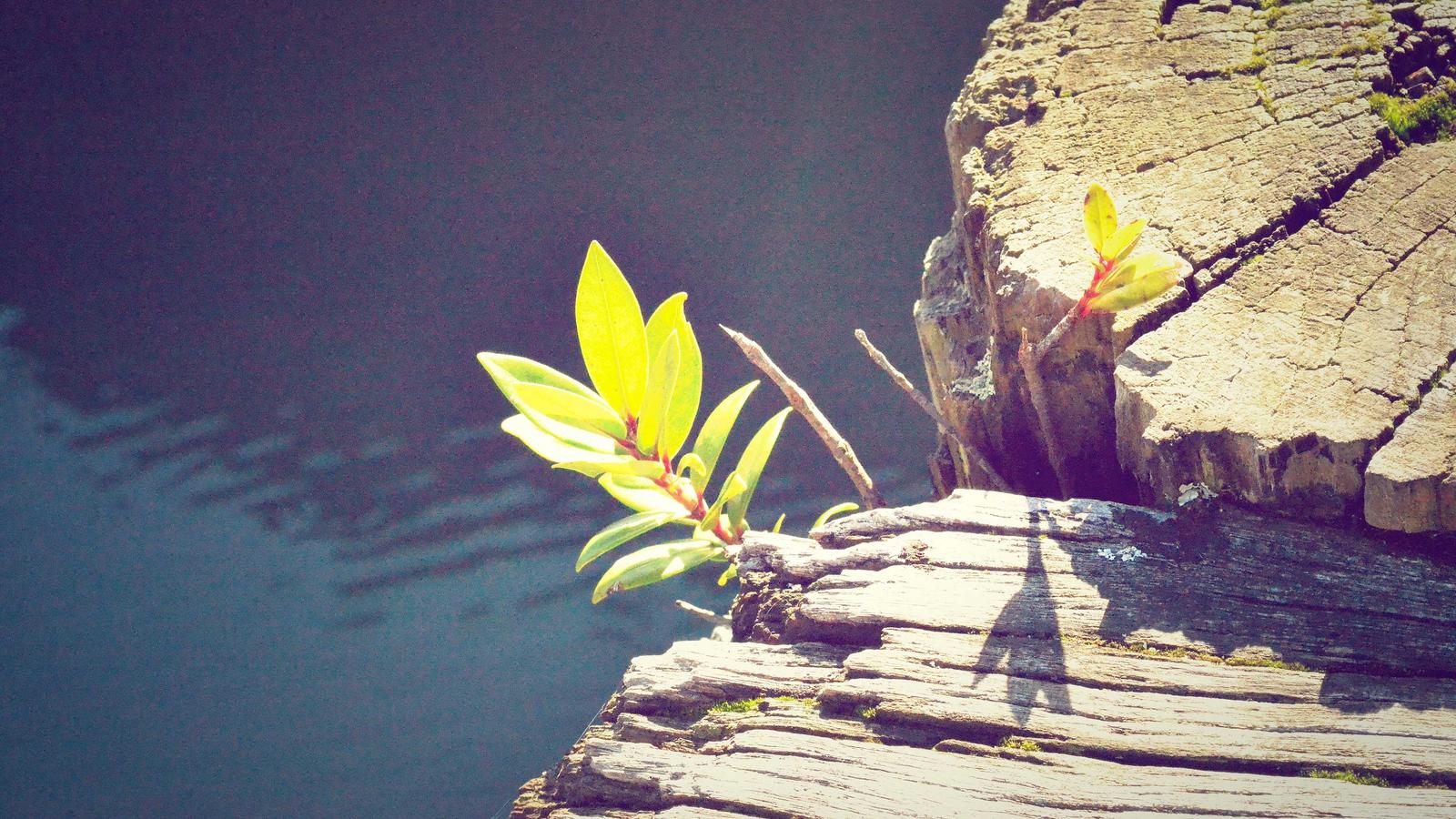 Anker USB-C Hub 10-en-1